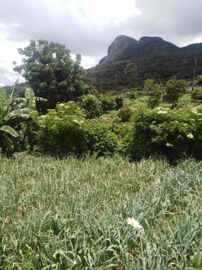 Hotel Akiko Rest Nuwara Eliya Exteriér fotografie
